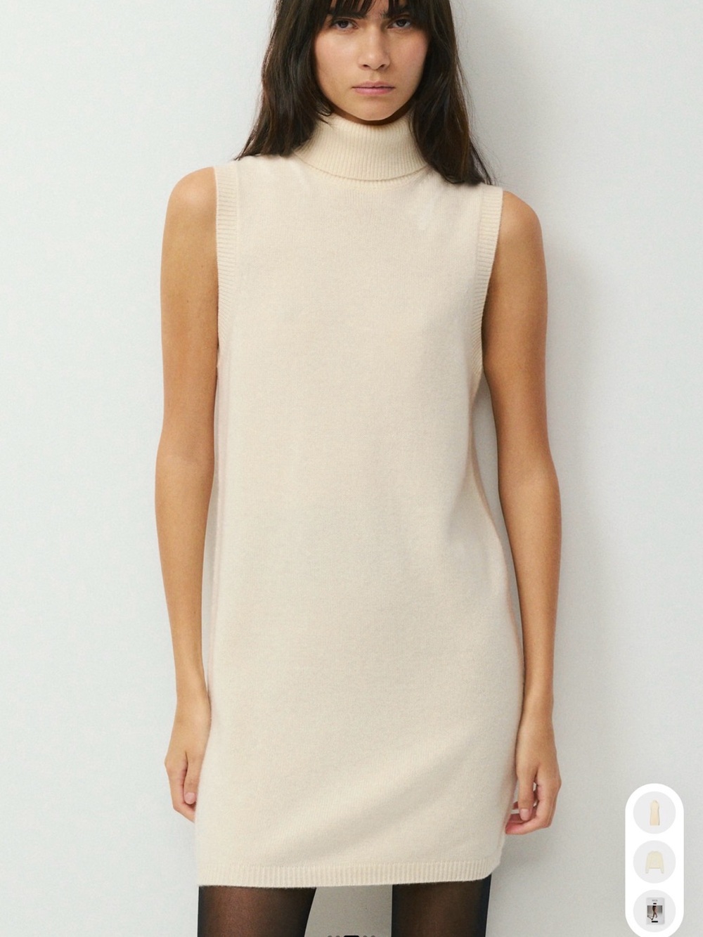Aritzia Sleeveless Turtleneck Dress